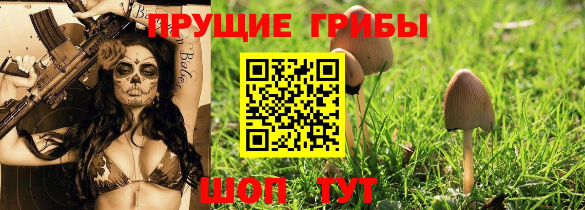 Псилоцибиновые грибы MAGIC MUSHROOMS  Вход с VPN  Сызрань  Псилоцибиновые грибы мухоморы 