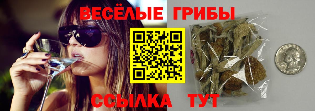Псилоцибиновые грибы мицелий Сызрань